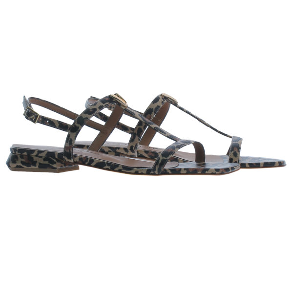 323 / leopardo
