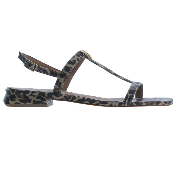 323 / leopardo